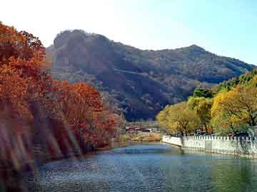 新澳天天开奖资料大全旅游团，多芬洗发水好用吗